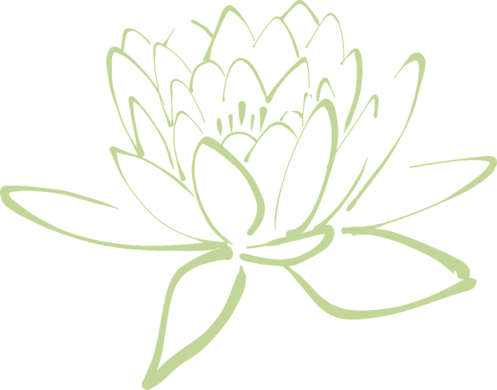 lotus blossom, lotus, flower-304875.jpg